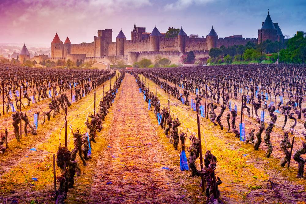 Vinregionen Languedoc
