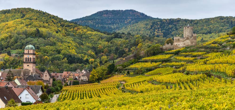 Vinregionen Alsace