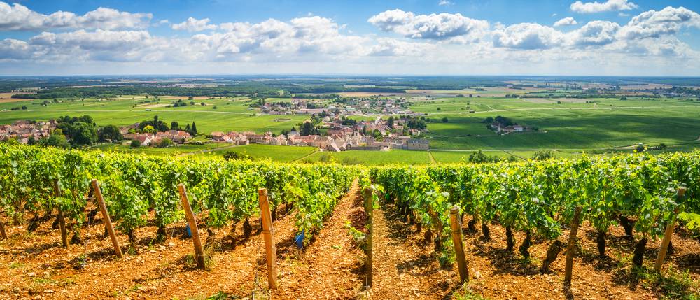 Vinregionen Bourgogne