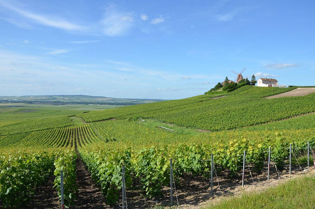 Vinregionen Champagne